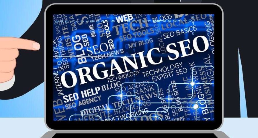 Person pointing to a computer screen with organic seo on the computer