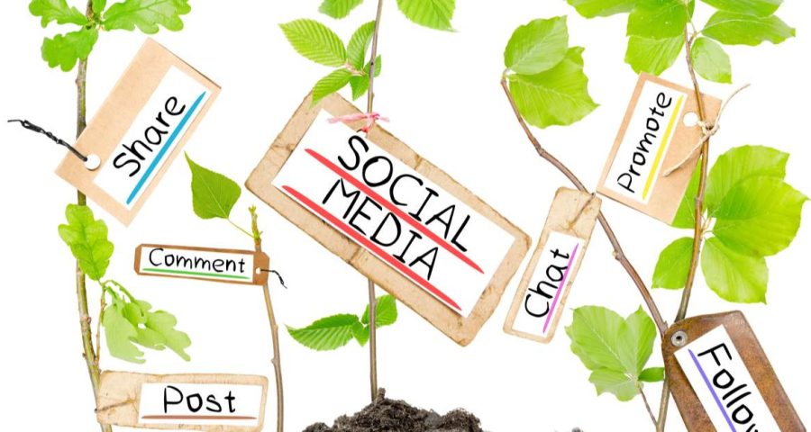 growing plants with social media terms